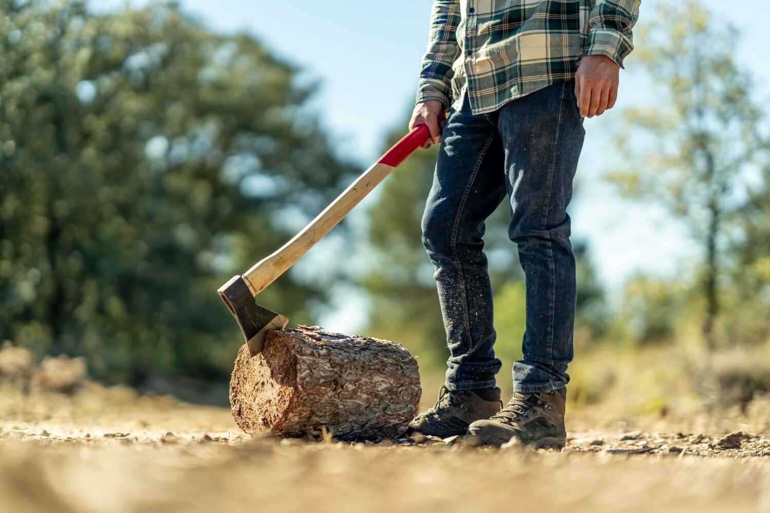 Eau Claire, WI Tree Service Company